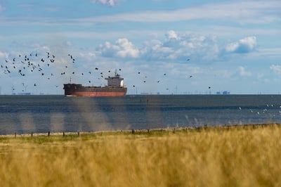 Quincannon Associates' Monthly Gas Report - August 2025
