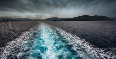 Quincannon Associates' Monthly Report - April 2023